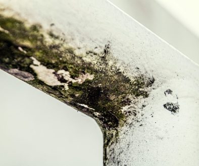 Mold on ceiling